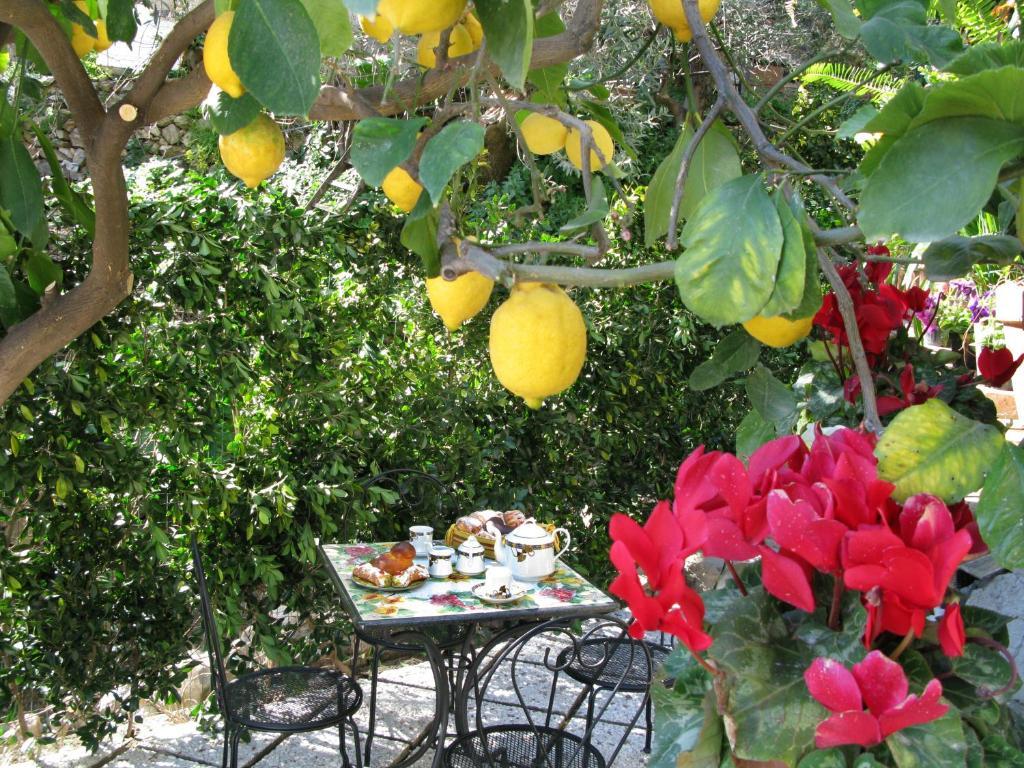 Bed & Breakfast Giulia